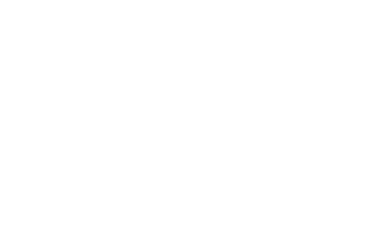 Raven Logo